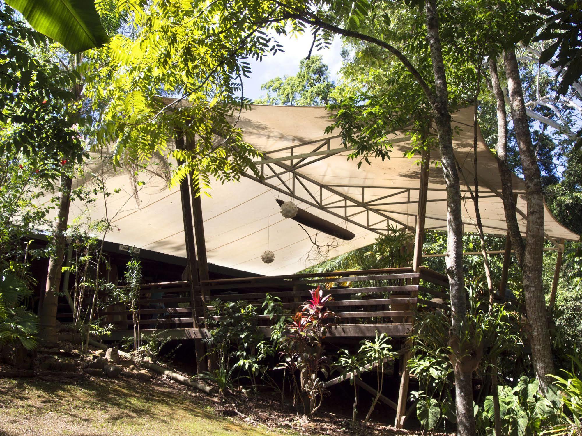 Cedar Park Rainforest Resort Koah Екстериор снимка