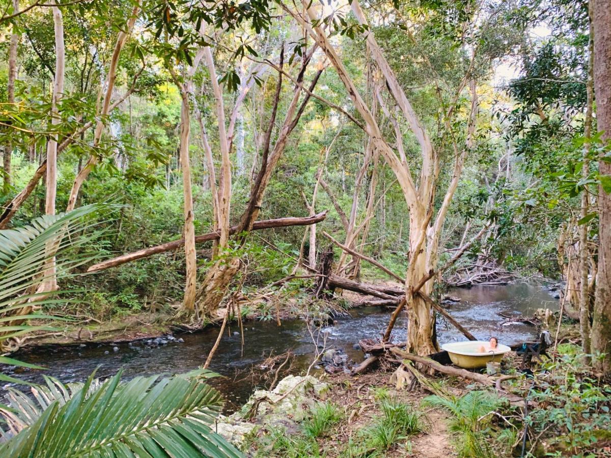 Cedar Park Rainforest Resort Koah Екстериор снимка